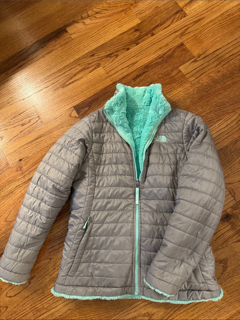 The North Face Gray Puffer Jacket with Mint Sherpa Lining